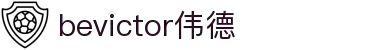 bevictor伟德-bv伟德国际体育官方网站